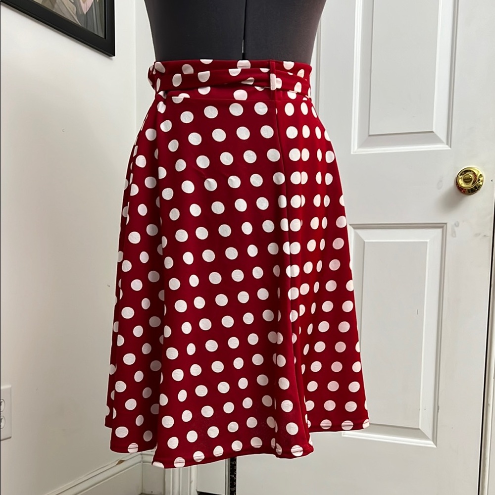 Classic A-Line Polka Dot Skirt in Red and White